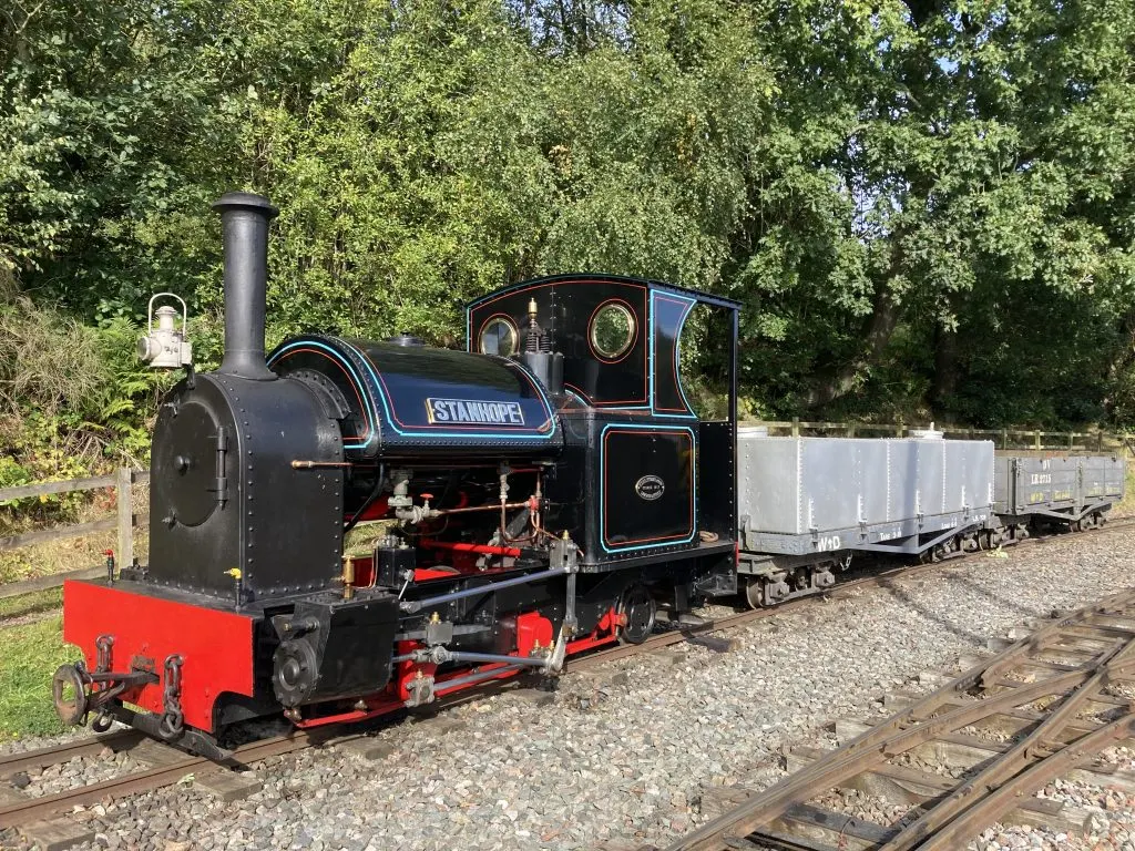 A heritage steam locomotive with red base and black upper body pulling passenger and goods carriages on narrow-gauge track through tree-lined surroundings.