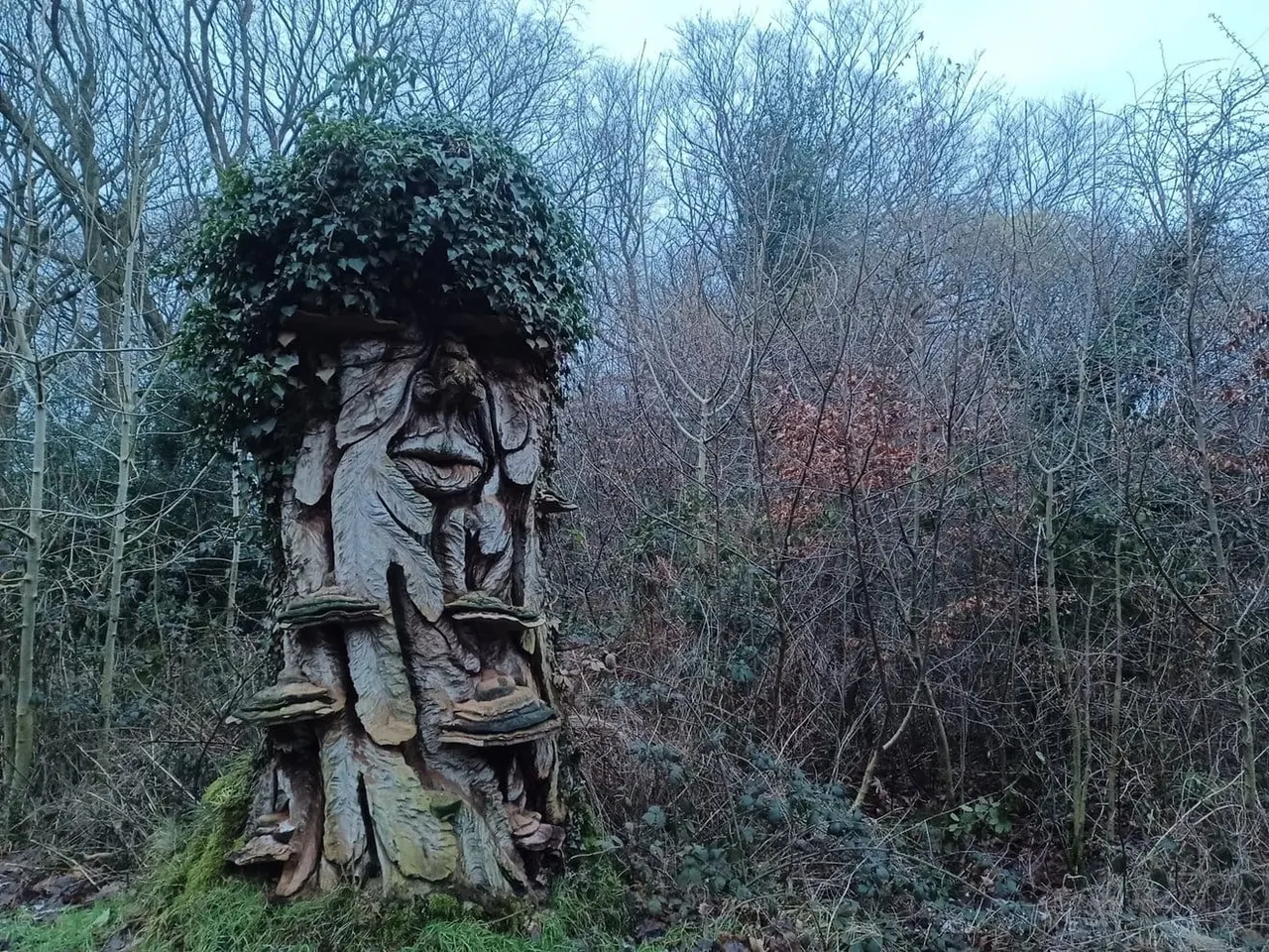 Carved wooden head sculpture with ivy growing on top in a winter woodland setting.