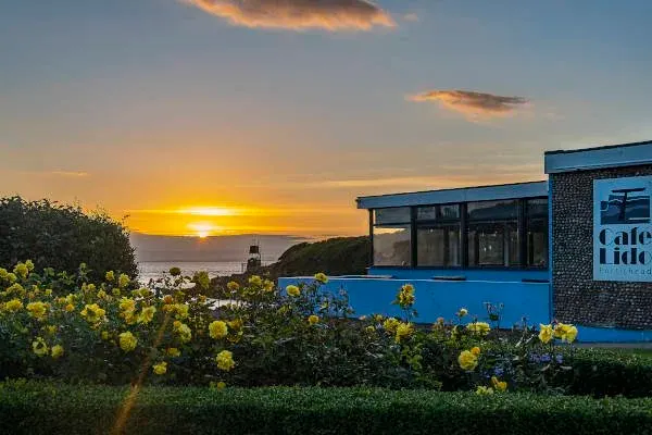 Blue modern building with large windows beside yellow flowers at sunset over the sea.