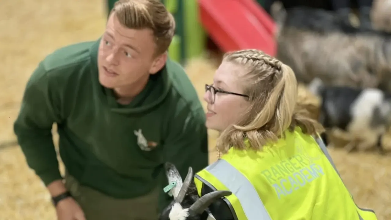 A keeper and a child in a Ranger Academy hi-vis vest meet a goat in the barn.