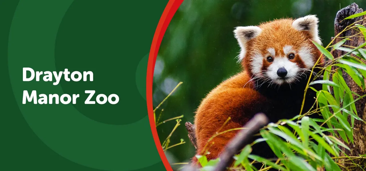 Zoo animals across the 15-acre zoo