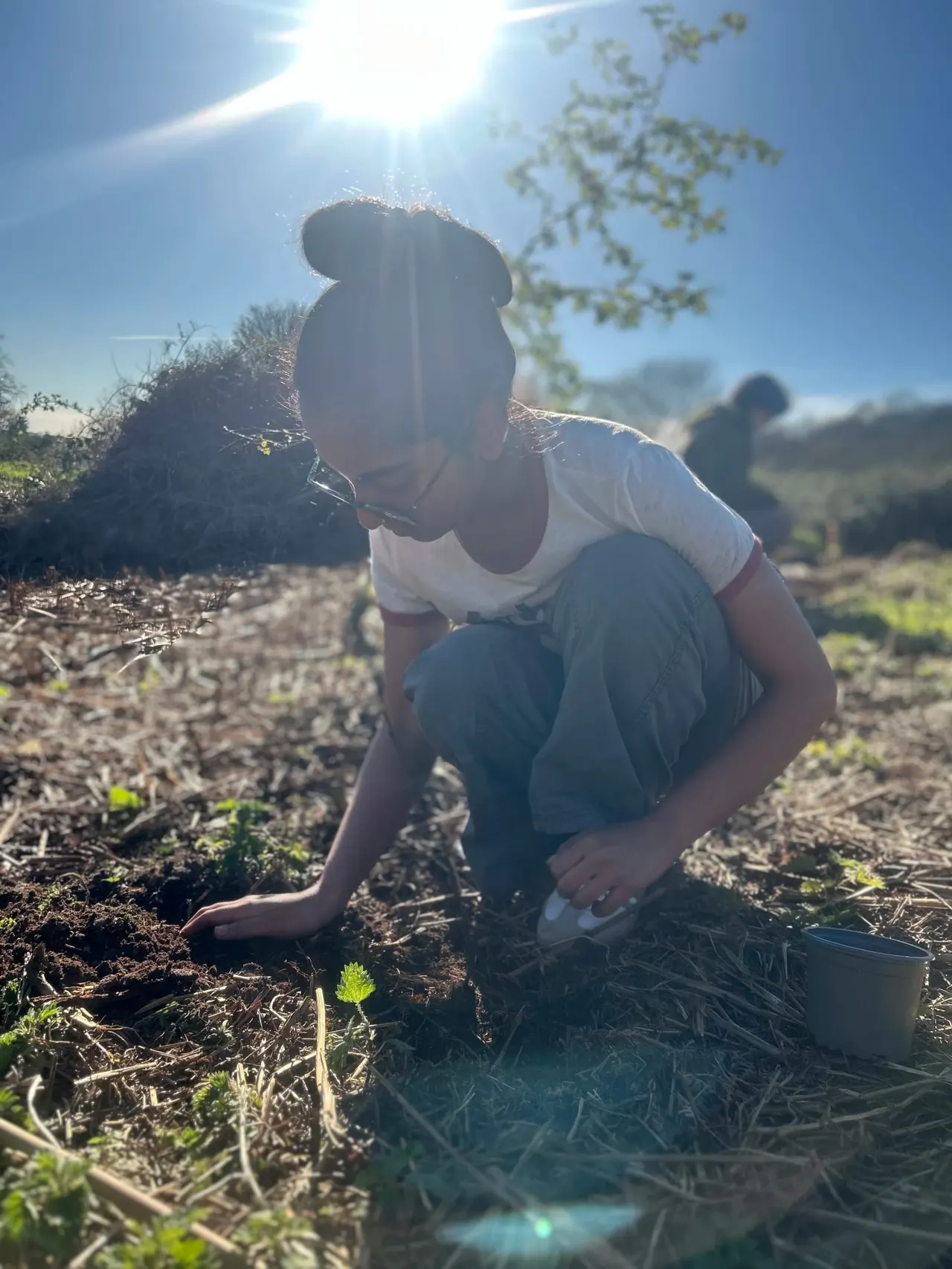 Person crouching and harvesting plants in a sunny garden or allotment plot with others visible in the background.