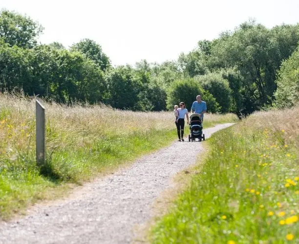 Two people walking on a gravel path with a pushchair through wildflower meadows and trees.