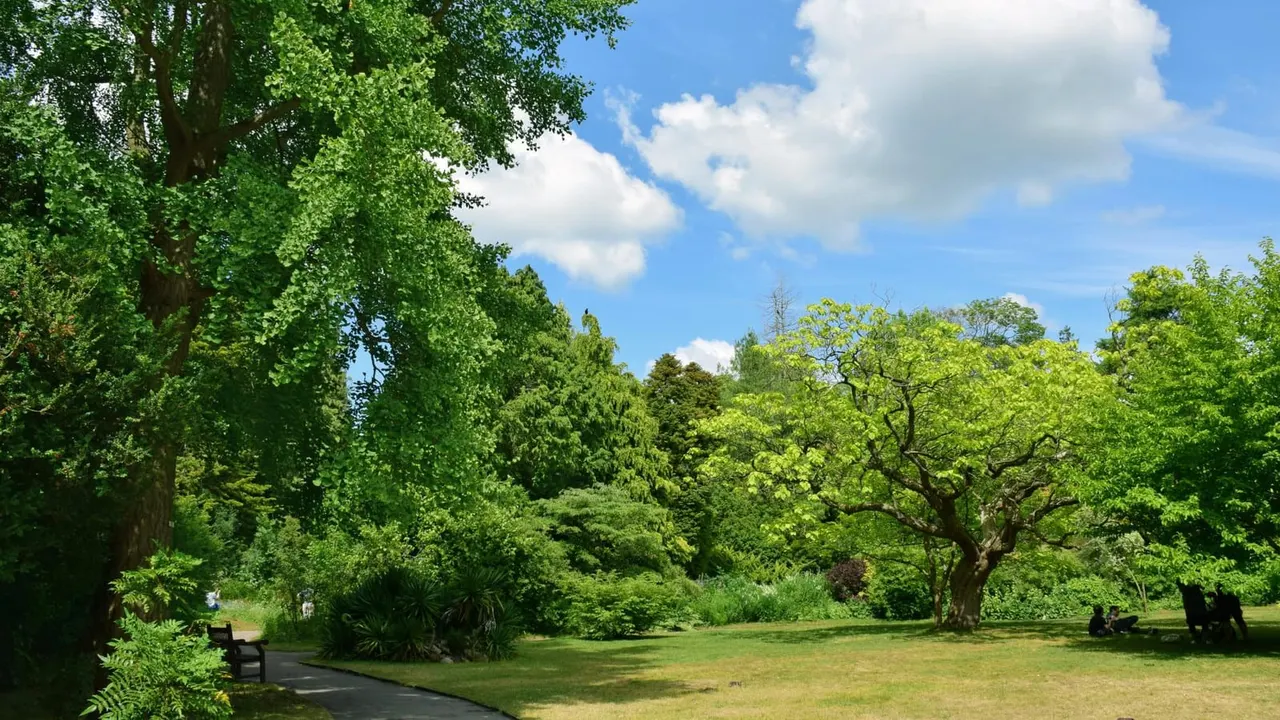 Spacious botanical gardens with mature trees, manicured grass, woodland paths and visitors relaxing on benches under blue sky.