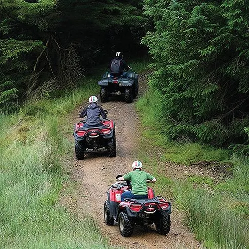 Three riders on all-terrain vehicles on a woodland trail lined with dense green foliage.