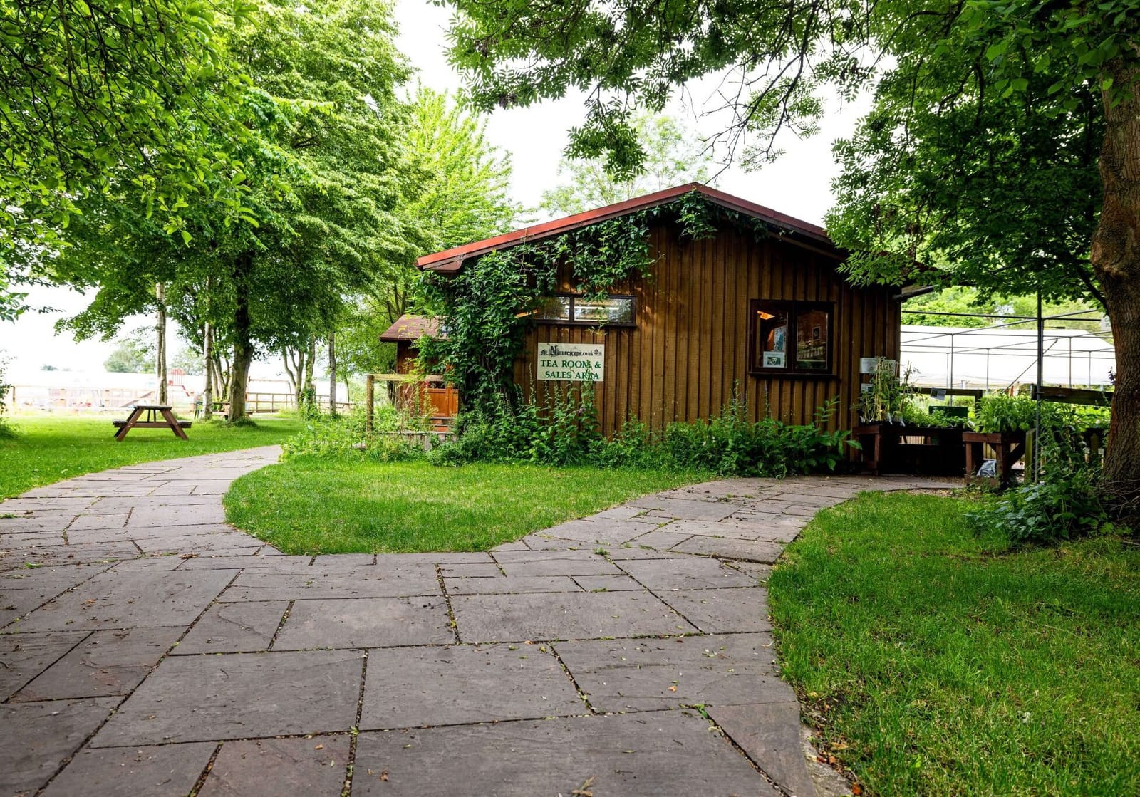 Naturescape Wildflower Farm