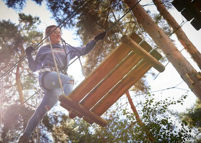 Person on a high rope course negotiating wooden obstacles among tall trees.