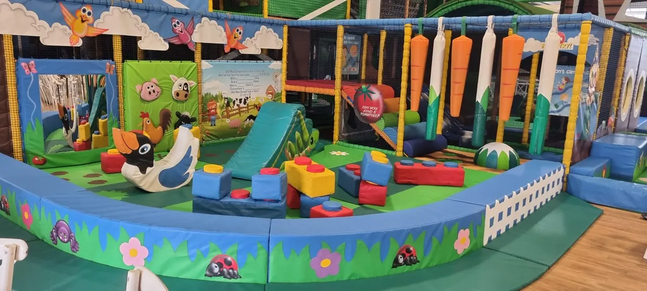 Soft play frames and slides inside Ed and Molly's Playbarn