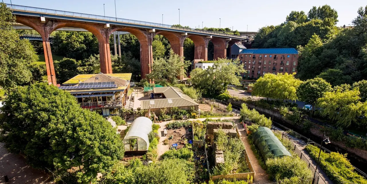 Aerial view of an urban farm with vegetable beds, polytunnels and buildings beneath a red brick viaduct.
