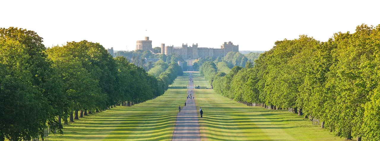 This is a photograph. A long formal avenue lined with mature trees stretches toward a large castle in the distance, with a few visitors walking along the path.