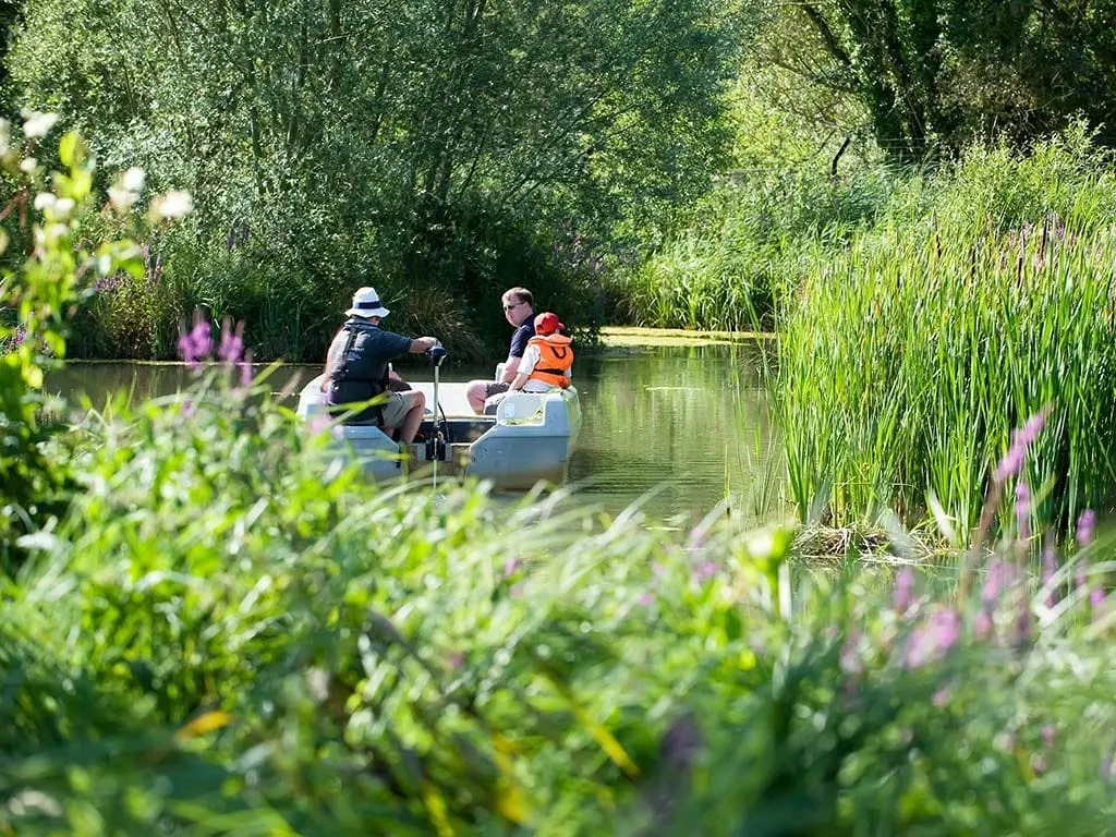 An adult and child paddle a small boat along a waterway surrounded by dense green vegetation and purple flowering plants.