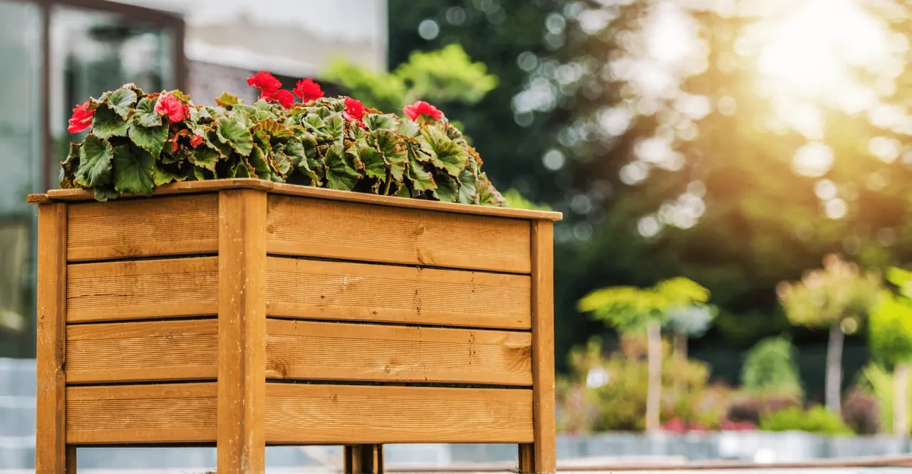 Wooden planter box with red flowers and green foliage in a sunny garden setting.