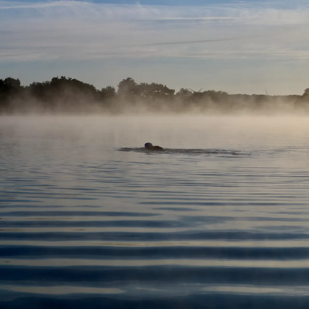 A swimmer doing front crawl in misty water with wooded shoreline beyond.