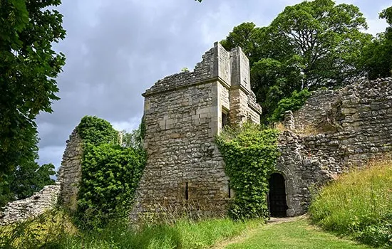 Ruins of a stone castle with ivy-covered walls, tower, and arched doorway, surrounded by trees and grass.
