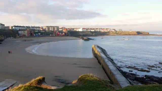 Beaches & Coast in Newcastle