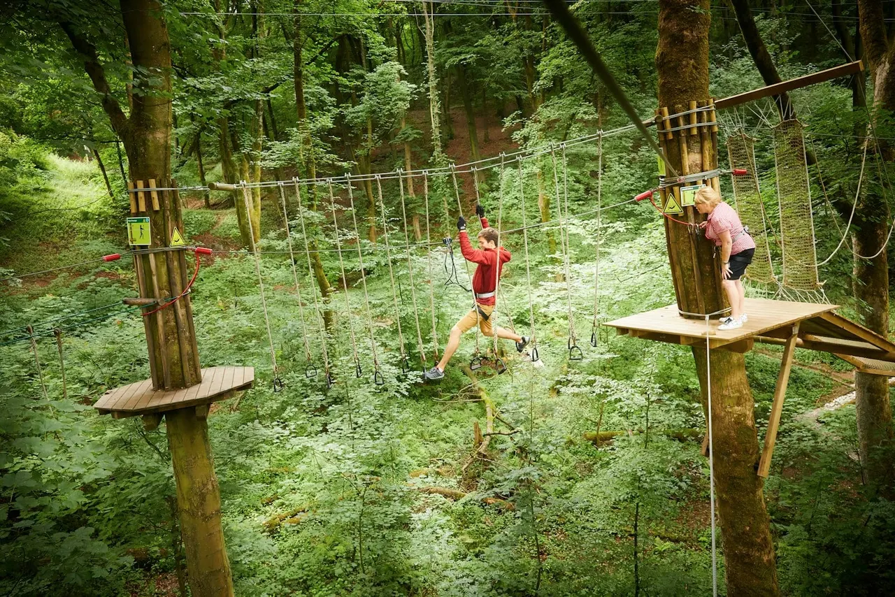 Go Ape high ropes and zip line course