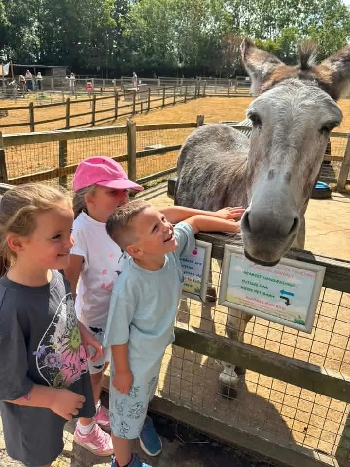 Children feeding a donkey at a farm enclosure with wooden fencing and other visitors in the background.