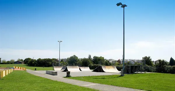 Skateboard park with ramps and curves on a wide paved area surrounded by green grass and trees.