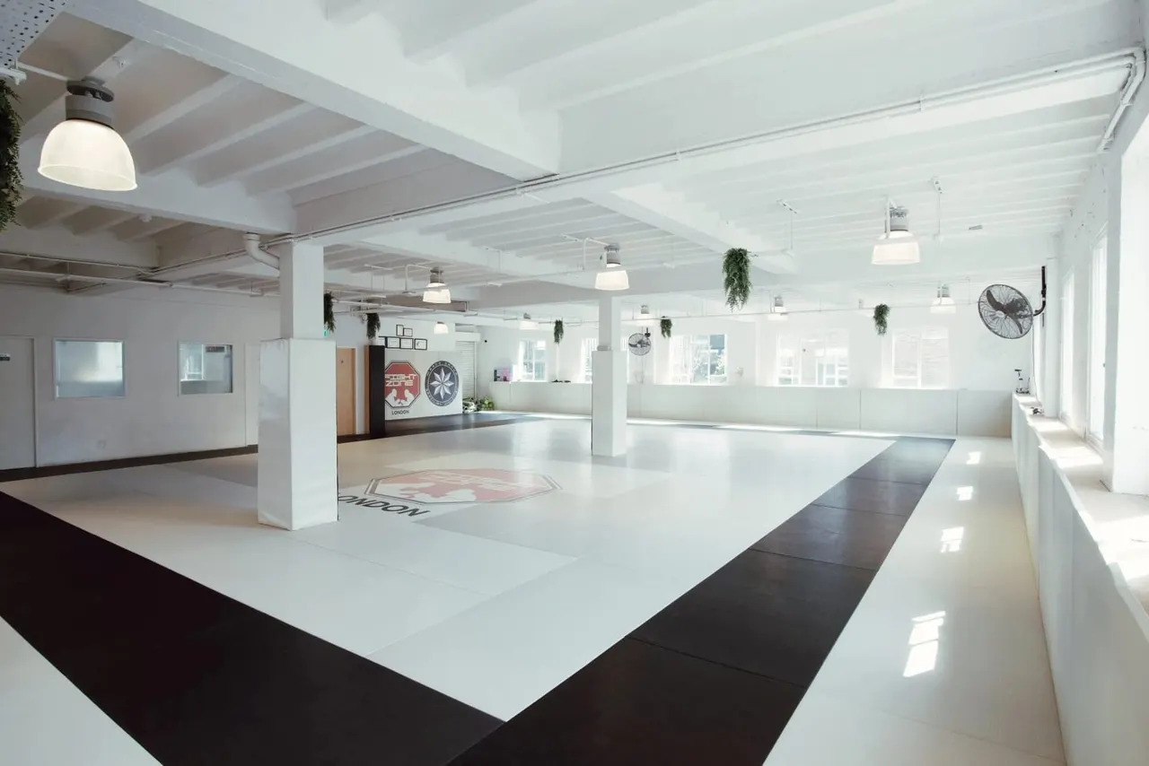 Spacious modern martial arts studio with white walls, polished floors, suspended plants, and reception desk.