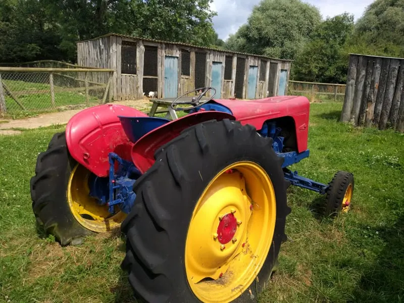 Colourful vintage red and blue tractor with yellow wheel rims parked in a farm paddock near wooden animal shelters.