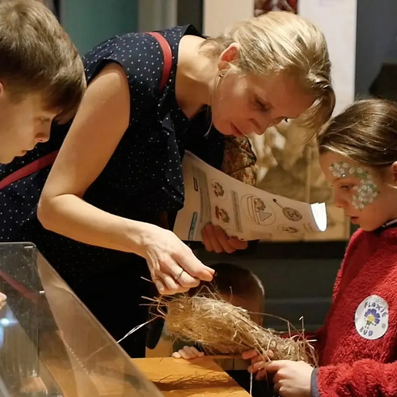 An adult and children handle and examine a porcupine during an interactive educational session indoors.