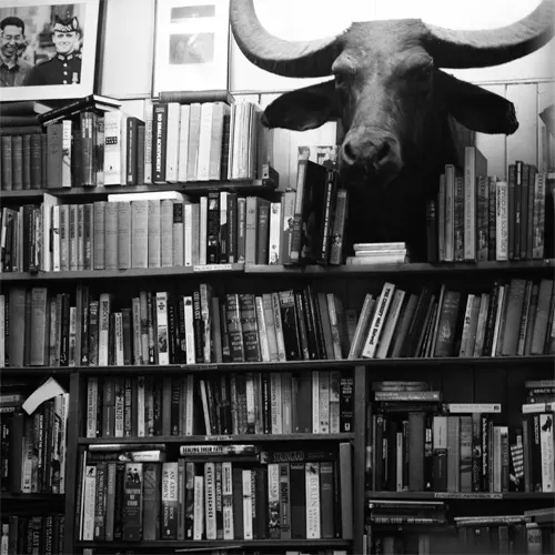 Talks, Lectures & Author Events in Edinburgh