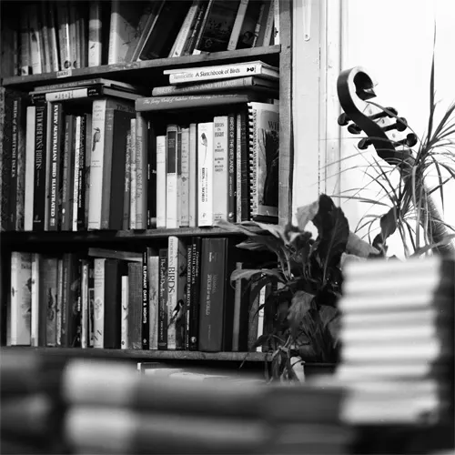 Bookshelf with volumes stacked and arranged beside a potted plant with decorative bird ornament.
