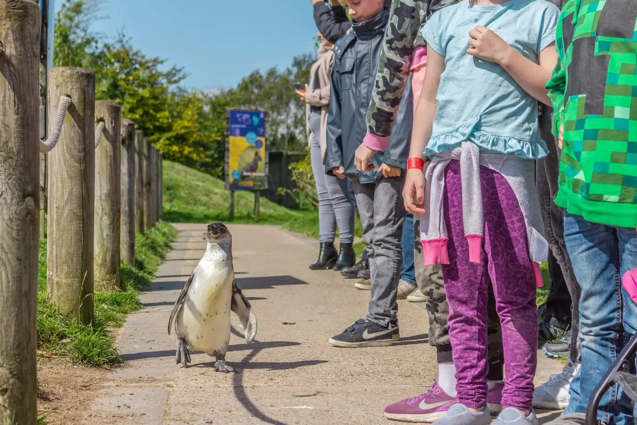 Animals at Peak Wildlife Park