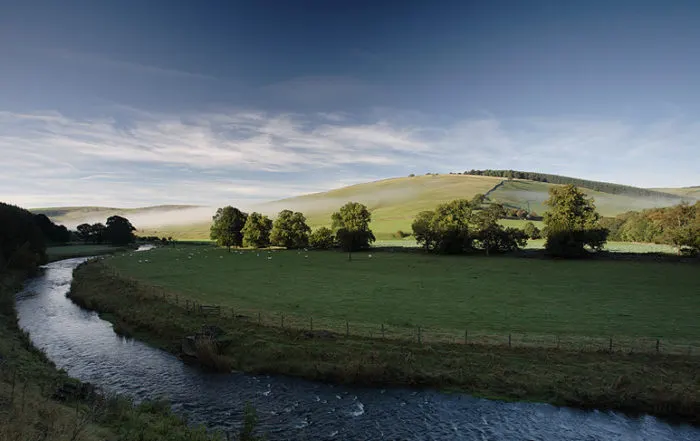 River winds through pasture land with sheep grazing, trees and rolling hills beyond under clear sky.