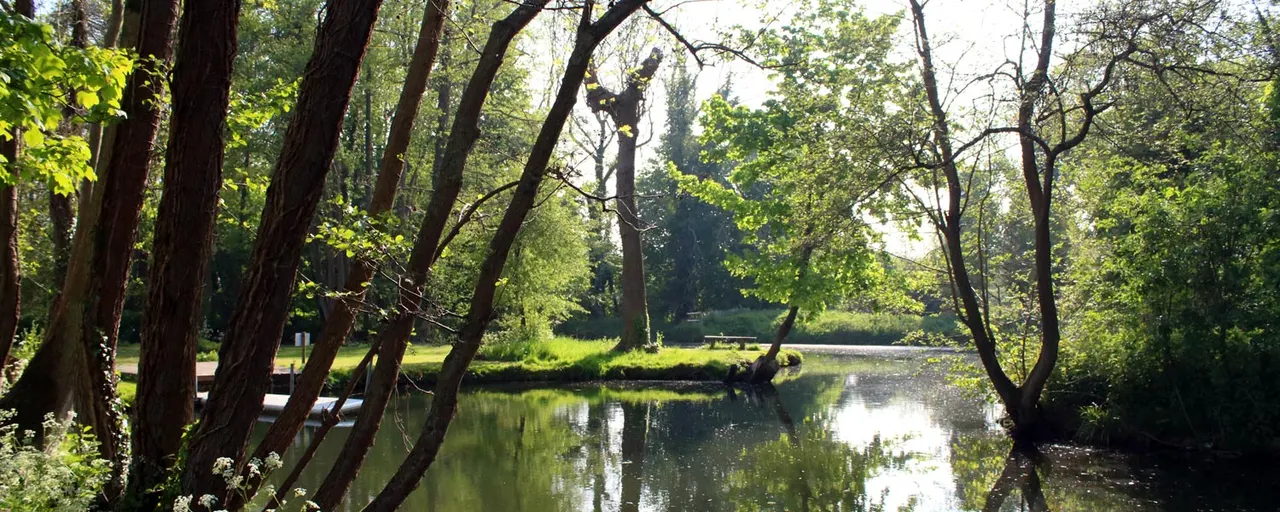 Calm river flowing through woodland with mature trees lining both banks and sunlit clearings beyond.