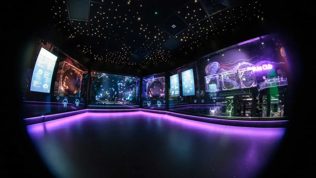 Jellyfish gallery at The Deep