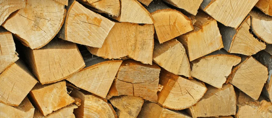 Stacked and split firewood logs showing freshly cut cross-sections in various shades of tan and golden brown.