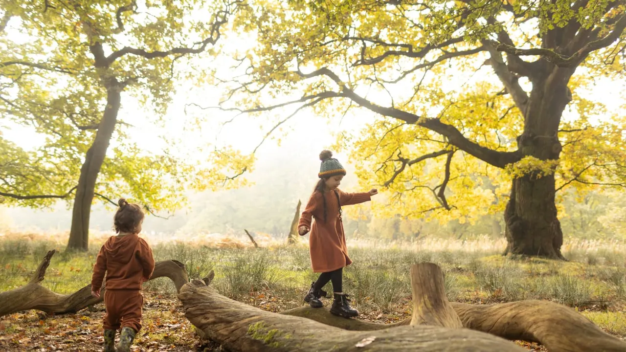 Two children playing on fallen logs beneath golden autumn trees in a woodland clearing.
