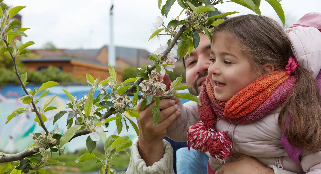 Adult holding young child examining flowering tree branch by waterside with buildings behind.