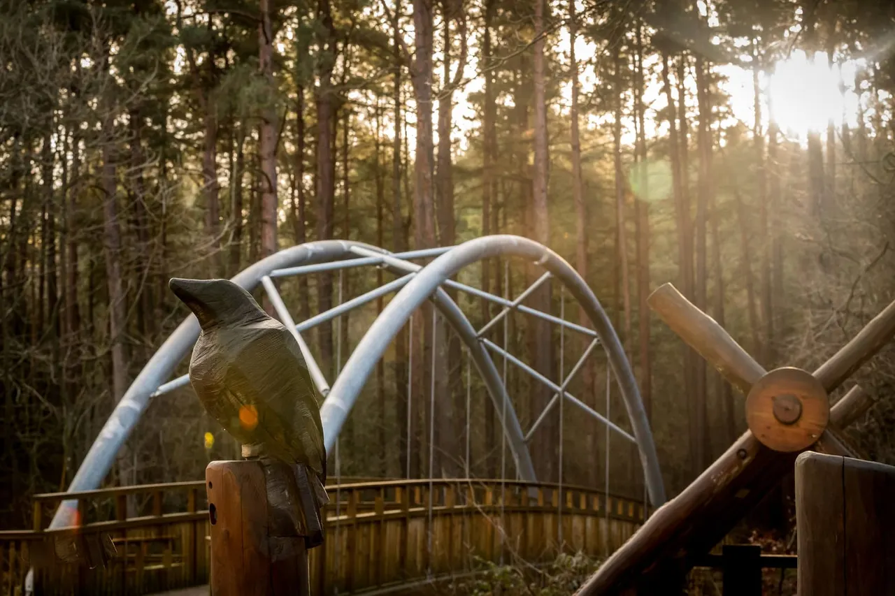 Walking & Cycling Trails in Newcastle