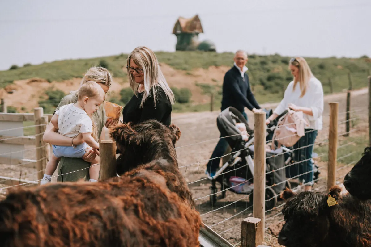 A family with young children feeding and interacting with farm animals in fenced enclosures on a hillside.
