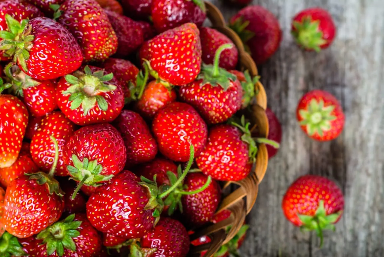 Fresh strawberries in a woven basket on a grey wooden surface.