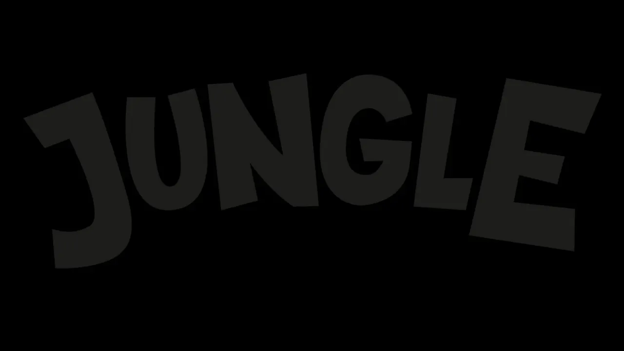 Jungle World Leyland - Play Park
