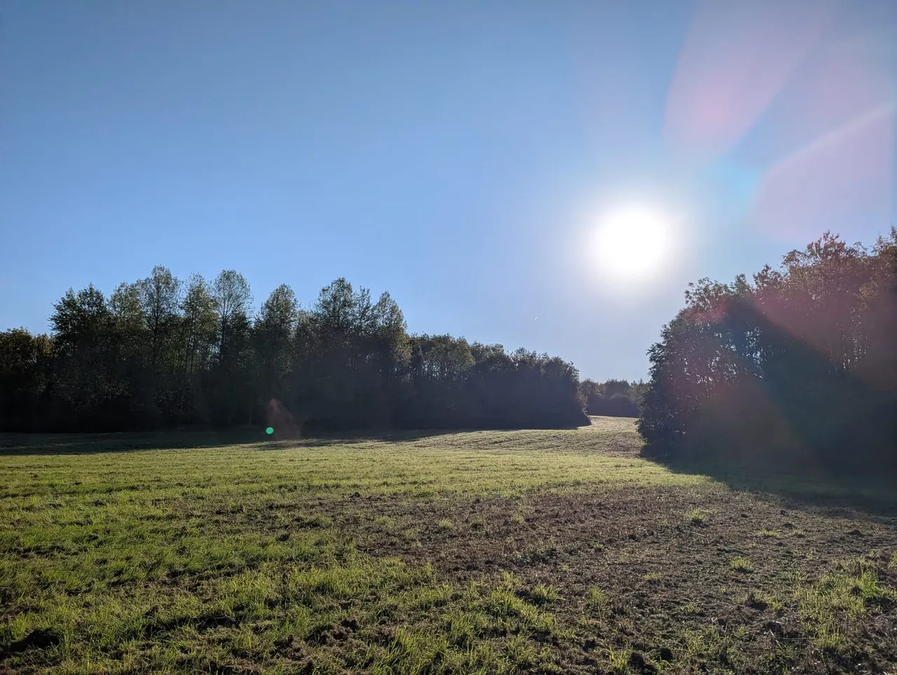 Open countryside with fields and tree lines under bright sunshine on a clear day.