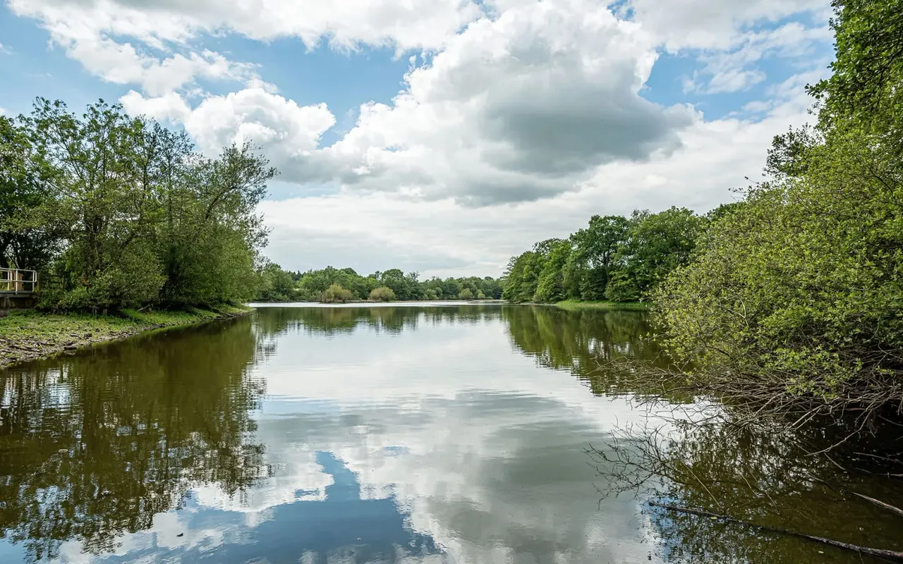 Calm river bordered by lush green trees with blue sky and white clouds reflected in the water.
