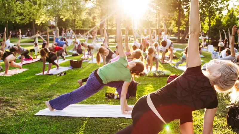Large outdoor yoga class on grass with many participants on mats in a sunlit park among trees.