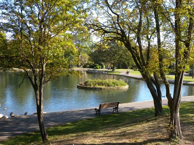 Bench on a tree-lined path overlooking a calm pond with an island, autumn foliage and visitors in a park.