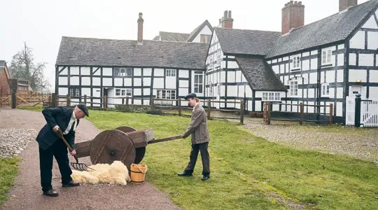 Two people shearing a sheep in front of Tudor timber-framed buildings.