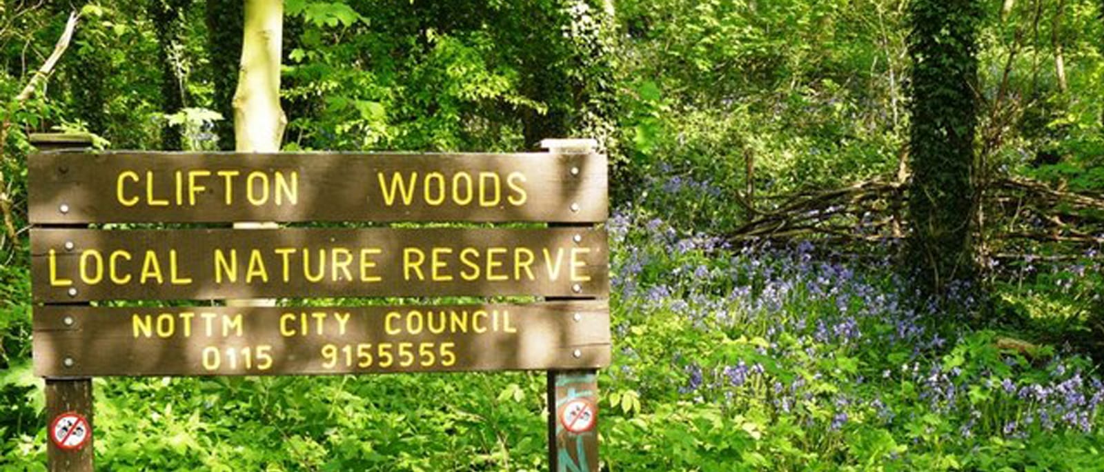 Clifton Woods