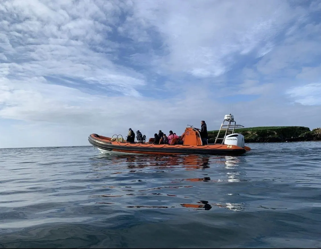 Speedboat carrying passengers on a sea safari tour off the coast, with wooded headland visible in the distance.