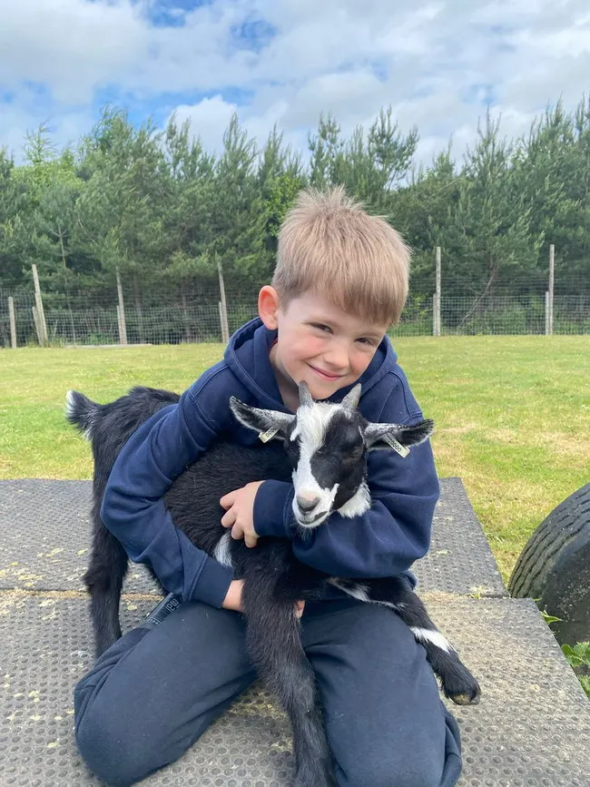 Young child holding a small black and white goat on a metal platform in a farm field.