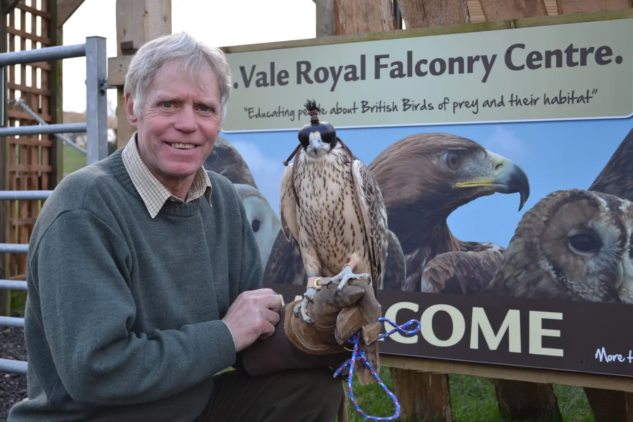 Man holding a hooded falcon on his gloved hand in front of the Vale Royal Falconry Centre sign.