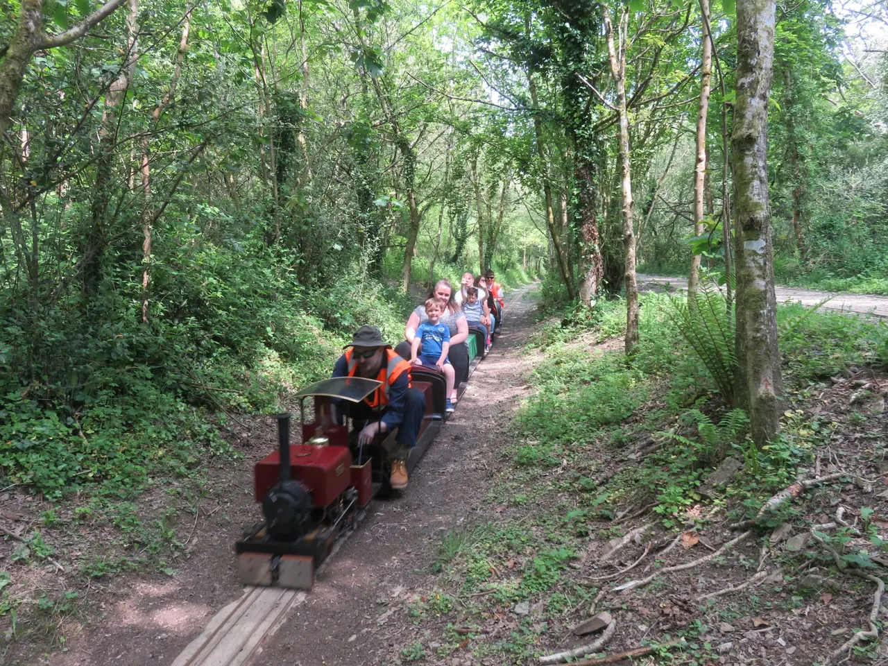A miniature steam train carrying passengers through a tree-lined woodland path.