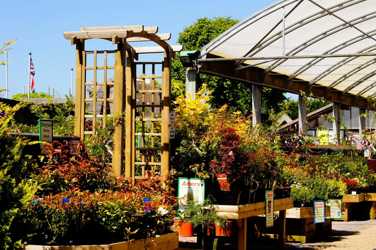 Garden centre displaying colourful plants and shrubs around a wooden arbour and covered pergola structure on a sunny day.