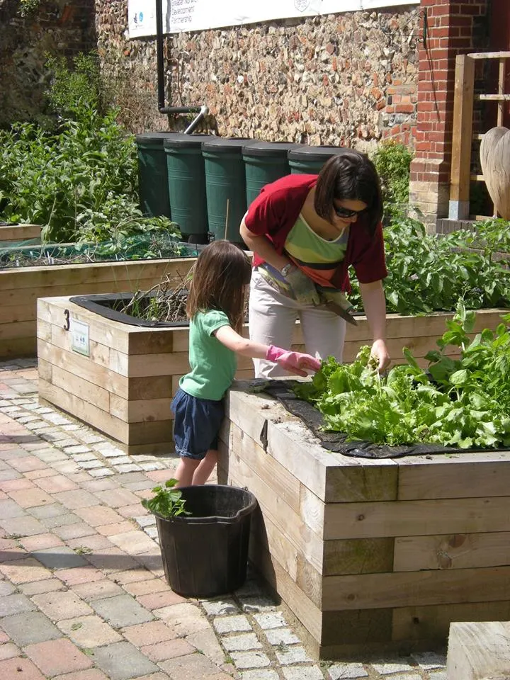 An adult and child tend to raised wooden vegetable beds in a community garden on a sunny day.